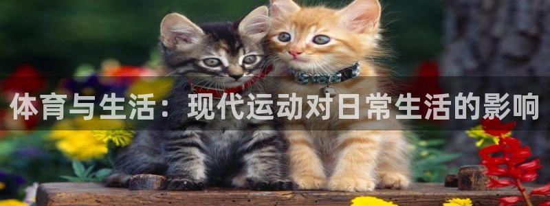 k1体育平台最新网站下载