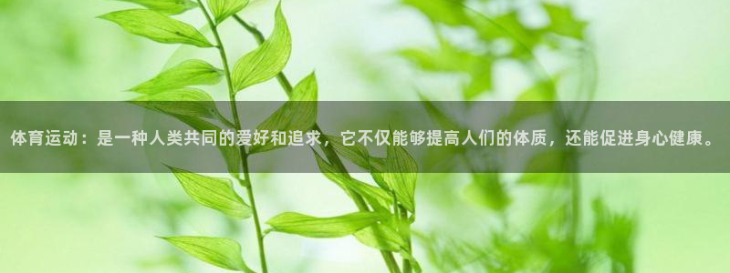 k1体育app下载