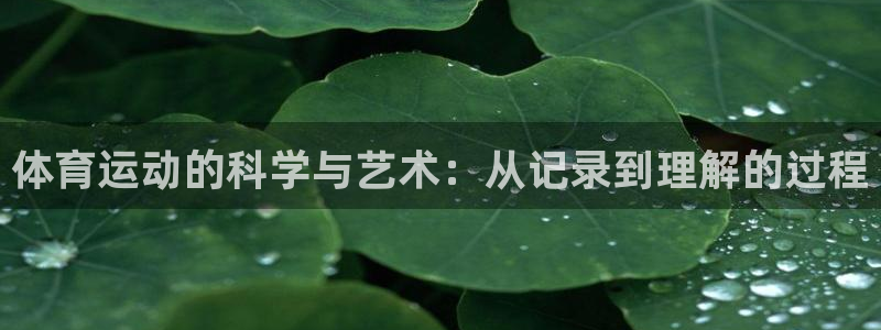 k1体育棋牌