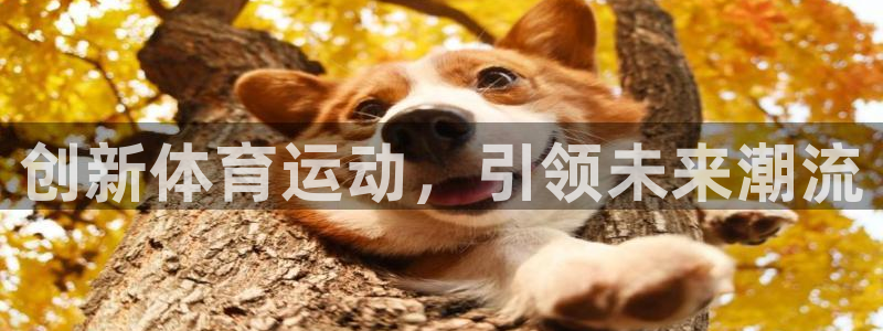 k1体育链接多少：创新体育运动，引领未来潮流