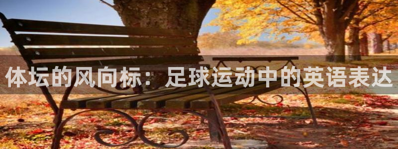 k1体育 十年品牌：体坛的风向标：足球运动中的英语表达