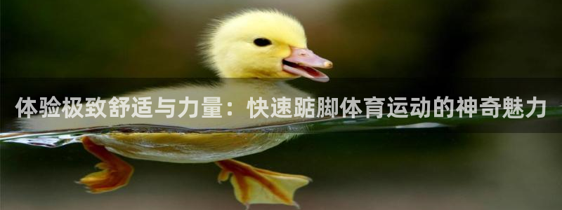 k1体育app官网登录入口：体验极致舒适与力量：快速踮脚体育运动的神奇魅力