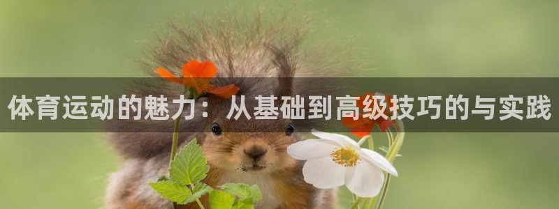 k1体育下载地址