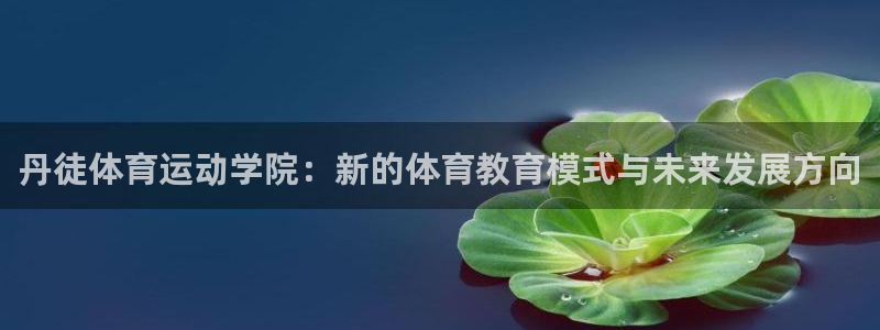 k1体育平台下载