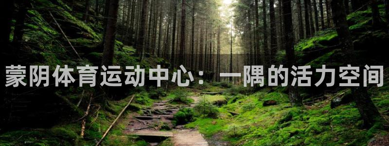 k1体育棋牌：蒙阴体育运动中心：一隅的活力空间