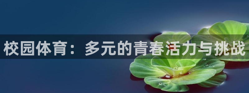 k1体育下载链接