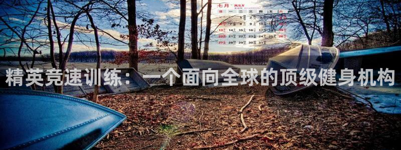 k1体育入口：精英竞速训练：一个面向全球的顶级健身机构